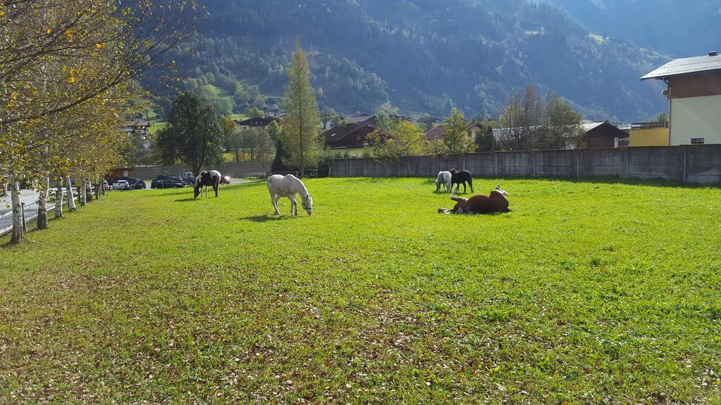 Haus Habetseder Leilighet Dorfgastein Eksteriør bilde